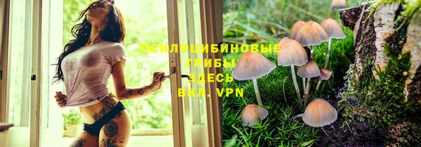 хмурый Зерноград