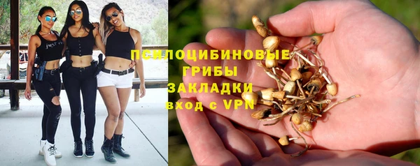 герыч Зеленокумск