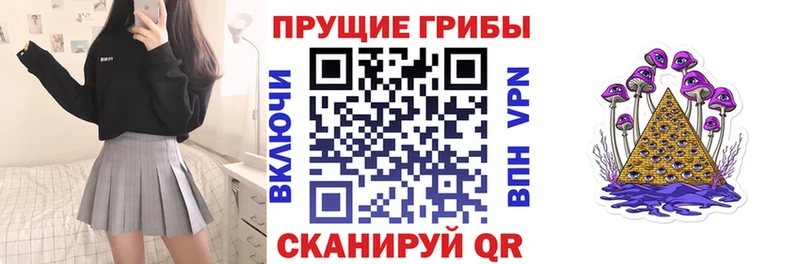 Псилоцибиновые грибы Cubensis  Купить закладки  Грайворон 